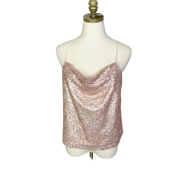 American Eagle Outfitters Tops - American Eagle Sequin Blush Cami Blouse SMALL 2923